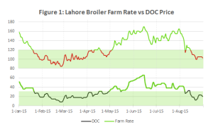 Pakistan Broiler Market Rate
